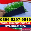 Jual Rumput Sintetis Futsal Siberut Barat.jpg