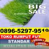 Jual Rumput Sintetis Futsal Baranti.jpg