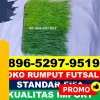 Supplier Rumput Sintetis Futsal Kabupaten Indragiri Hilir.jpg