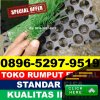 Supplier Rumput Sintetis Futsal Seyegan.jpg