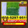 Supplier Rumput Sintetis Futsal Bantarkalong.jpg