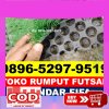 Supplier Rumput Sintetis Futsal Mesuji Raya.jpg