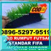 Jual Rumput Sintetis Futsal Siempat Nempu Hilir.jpg