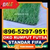 Supplier Rumput Sintetis Futsal Meurah Mulia.jpg