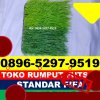 Supplier Rumput Sintetis Futsal Kabupaten Klungkung.jpg