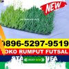 Supplier Rumput Sintetis Futsal Siberut Utara.jpg