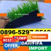 Jual Rumput Sintetis Futsal Moyo Utara.jpg