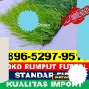 Jual Rumput Sintetis Futsal Batin Xxiv.jpg