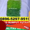 Supplier Rumput Sintetis Futsal Kabupaten Luwu Utara.jpg