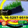 Jual Rumput Sintetis Futsal Muara Padang.jpg