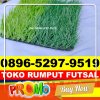 Supplier Rumput Sintetis Futsal Kabupaten Mempawah.jpg