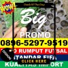 Supplier Rumput Sintetis Futsal Siliragung.jpg