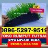 Jual Rumput Sintetis Futsal Sindangresmi.jpg