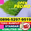 Jual Rumput Sintetis Futsal Batulanteh.jpg