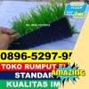 Produsen Rumput Sintetis Futsal Batu Layar.jpg