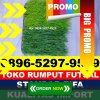 Pusat Rumput Sintetis Futsal Simpang Ulim.jpg