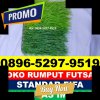 Pusat Rumput Sintetis Futsal Sinar Peninjauan.jpg