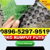 Supplier Rumput Sintetis Futsal Simpang Kiri.jpg