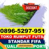 Gudang Rumput Sintetis Futsal Nan Sabaris.jpg