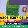 Supplier Rumput Sintetis Futsal Kabupaten Penajam Paser Utara.jpg