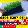 Jual Rumput Sintetis Futsal Naga Juang.jpg