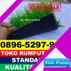 Jual Rumput Sintetis Futsal Nalumsari.jpg