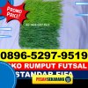 Pusat Rumput Sintetis Futsal Sinjai Utara.jpg