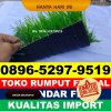 Produsen Rumput Sintetis Futsal Belida Darat.jpg