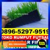 Jual Rumput Sintetis Futsal Kabupaten Toraja Utara.jpg