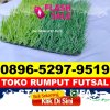 Supplier Rumput Sintetis Futsal Murung.jpg