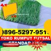 Produsen Rumput Sintetis Futsal Nanga Pinoh.jpg