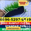 Jual Rumput Sintetis Futsal Negara Batin.jpg