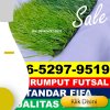 Gudang Rumput Sintetis Futsal Soko.jpg