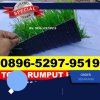 Produsen Rumput Sintetis Futsal Bendosari.jpg