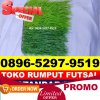 Pusat Rumput Sintetis Futsal Natar.jpg