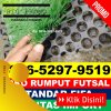 Supplier Rumput Sintetis Futsal Sirah Pulau Padang.jpg