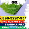 Gudang Rumput Sintetis Futsal Ngrambe.jpg