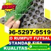 Supplier Rumput Sintetis Futsal Sitahuis.jpg