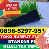 Produsen Rumput Sintetis Futsal Bengkunat Belimbing.jpg