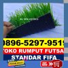 Jual Rumput Sintetis Futsal Songgon.jpg