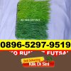 Supplier Rumput Sintetis Futsal Bekasi Utara.jpg