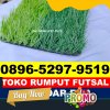 Produsen Rumput Sintetis Futsal Bentian Besar.jpg