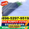 Produsen Rumput Sintetis Futsal Somba Opu.jpg