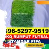 Pusat Rumput Sintetis Futsal Somolo   Molo.jpg