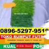 Pusat Rumput Sintetis Futsal Nguter.jpg