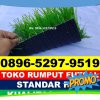 Jual Rumput Sintetis Futsal Blang Bintang.jpg