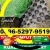 Supplier Rumput Sintetis Futsal Sosa.jpg