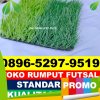 Jual Rumput Sintetis Futsal Sukamara.jpg