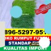 Supplier Rumput Sintetis Futsal Kalianda.jpg