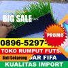 Produsen Rumput Sintetis Futsal Blahbatuh.jpg